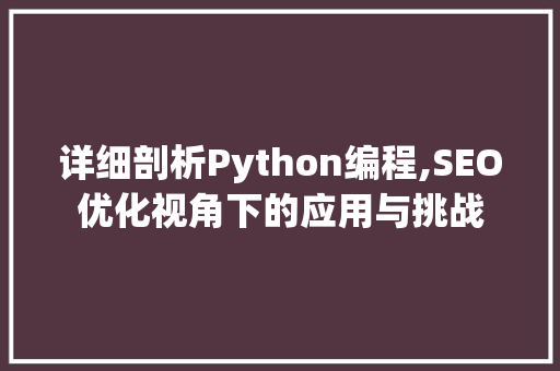 详细剖析Python编程,SEO优化视角下的应用与挑战
