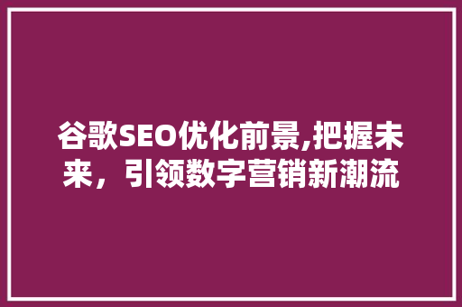 谷歌SEO优化前景,把握未来，引领数字营销新潮流
