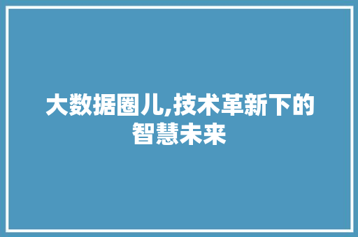 大数据圈儿,技术革新下的智慧未来 后端技术