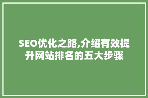 SEO优化之路,介绍有效提升网站排名的五大步骤