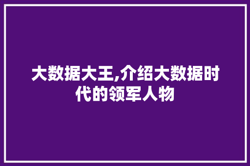 大数据大王,介绍大数据时代的领军人物