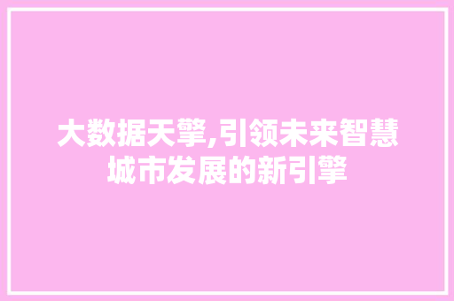 大数据天擎,引领未来智慧城市发展的新引擎