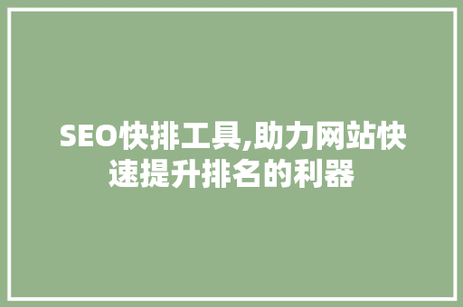 SEO快排工具,助力网站快速提升排名的利器