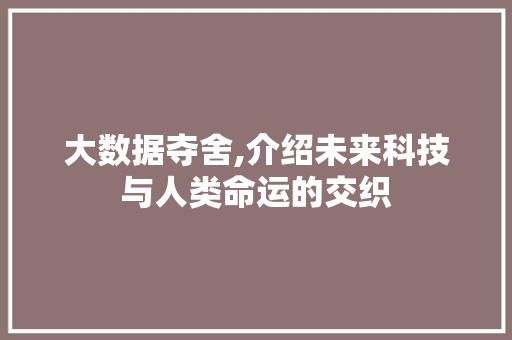 大数据夺舍,介绍未来科技与人类命运的交织 前端技术