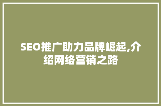 SEO推广助力品牌崛起,介绍网络营销之路