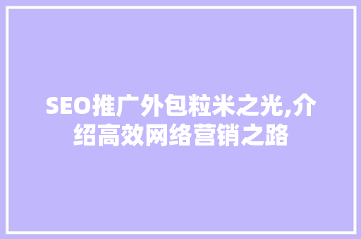 SEO推广外包粒米之光,介绍高效网络营销之路