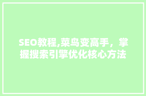 SEO教程,菜鸟变高手，掌握搜索引擎优化核心方法