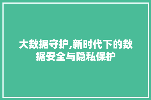 大数据守护,新时代下的数据安全与隐私保护 前端技术