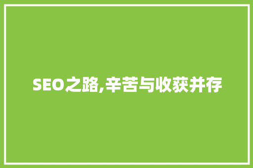 SEO之路,辛苦与收获并存