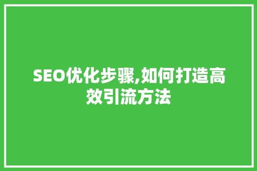 SEO优化步骤,如何打造高效引流方法
