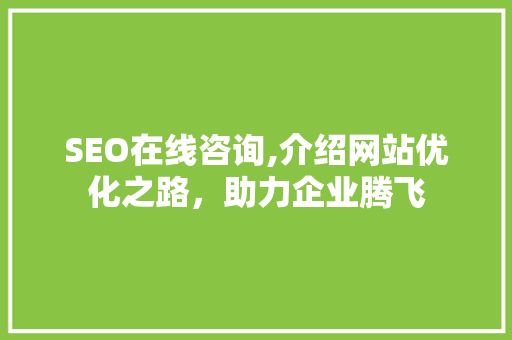 SEO在线咨询,介绍网站优化之路，助力企业腾飞