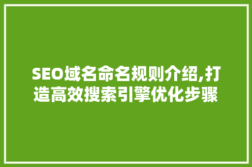 SEO域名命名规则介绍,打造高效搜索引擎优化步骤