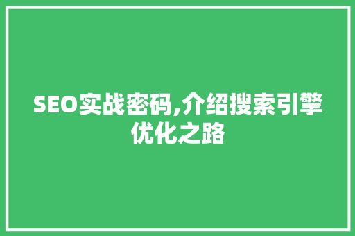 SEO实战密码,介绍搜索引擎优化之路