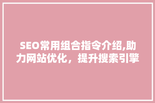 SEO常用组合指令介绍,助力网站优化，提升搜索引擎排名