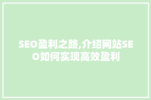 SEO盈利之路,介绍网站SEO如何实现高效盈利