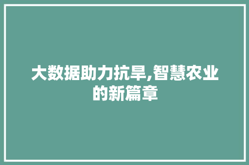 大数据助力抗旱,智慧农业的新篇章 后端技术