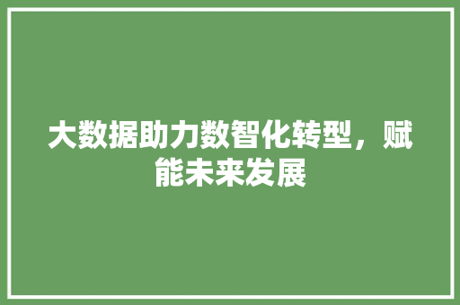 大数据助力数智化转型，赋能未来发展 响应式设计