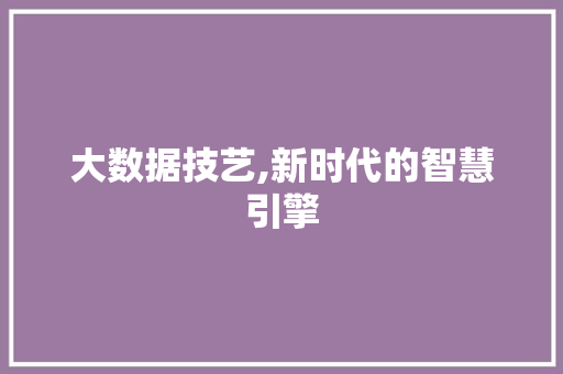 大数据技艺,新时代的智慧引擎