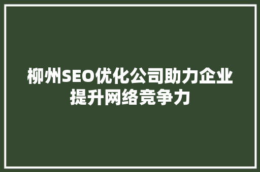 柳州SEO优化公司助力企业提升网络竞争力