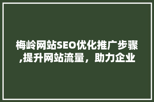 梅岭网站SEO优化推广步骤,提升网站流量，助力企业腾飞