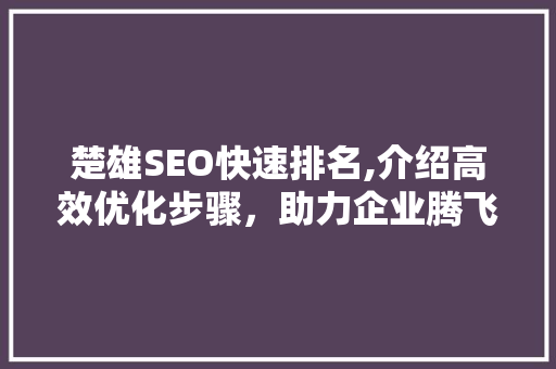 楚雄SEO快速排名,介绍高效优化步骤，助力企业腾飞
