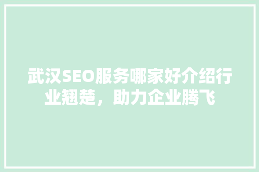 武汉SEO服务哪家好介绍行业翘楚，助力企业腾飞