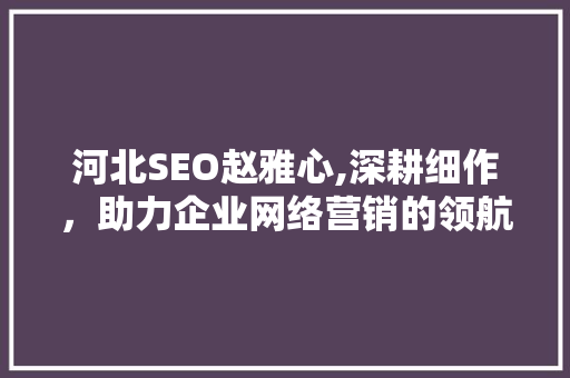 河北SEO赵雅心,深耕细作，助力企业网络营销的领航者