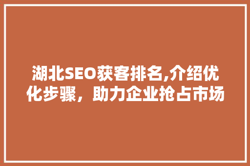 湖北SEO获客排名,介绍优化步骤，助力企业抢占市场先机