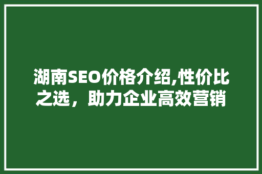 湖南SEO价格介绍,性价比之选，助力企业高效营销