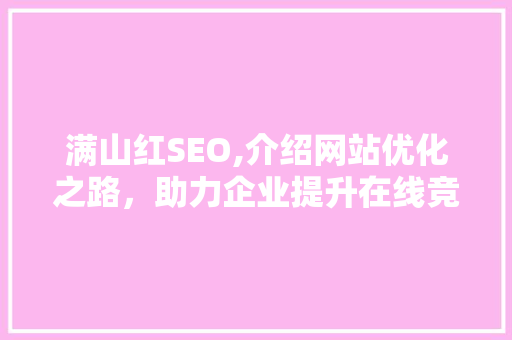 满山红SEO,介绍网站优化之路，助力企业提升在线竞争力