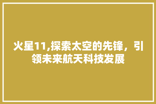 火星11,探索太空的先锋，引领未来航天科技发展