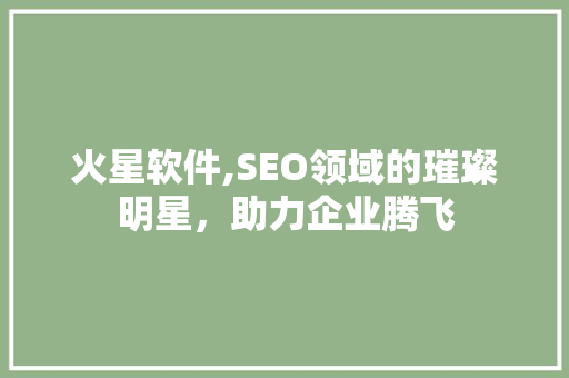 火星软件,SEO领域的璀璨明星，助力企业腾飞