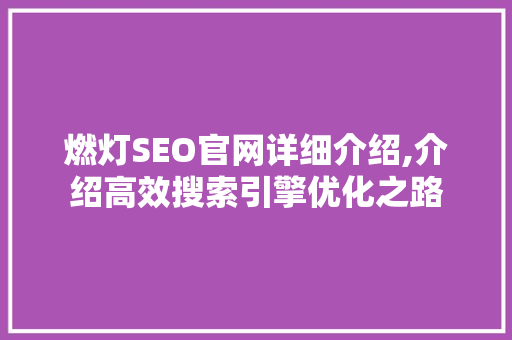 燃灯SEO官网详细介绍,介绍高效搜索引擎优化之路