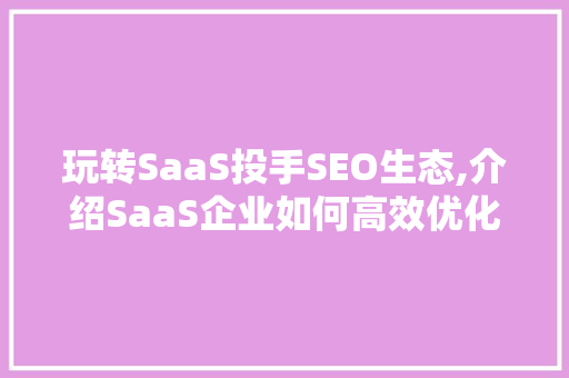 玩转SaaS投手SEO生态,介绍SaaS企业如何高效优化搜索引擎排名