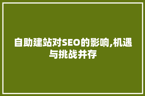 自助建站对SEO的影响,机遇与挑战并存