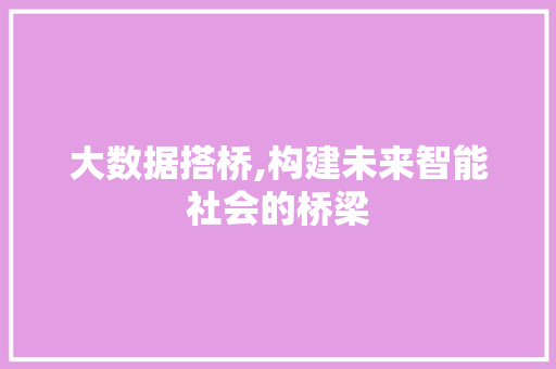 大数据搭桥,构建未来智能社会的桥梁 响应式设计