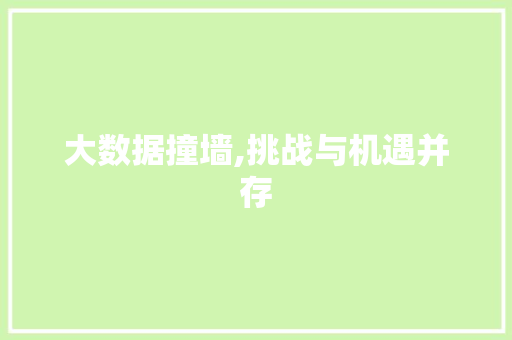大数据撞墙,挑战与机遇并存 项目报告