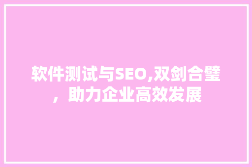 软件测试与SEO,双剑合璧，助力企业高效发展