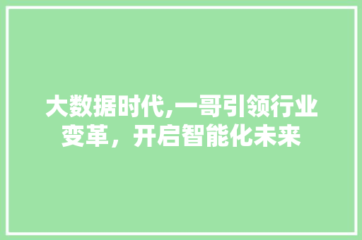 大数据时代,一哥引领行业变革，开启智能化未来 前端技术