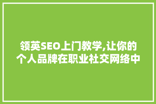 领英SEO上门教学,让你的个人品牌在职业社交网络中脱颖而出