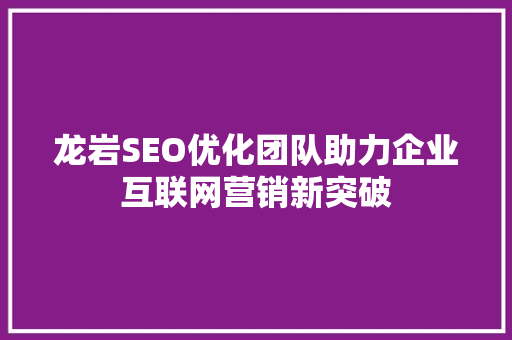 龙岩SEO优化团队助力企业互联网营销新突破