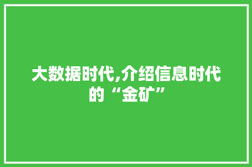大数据时代,介绍信息时代的“金矿” 项目报告