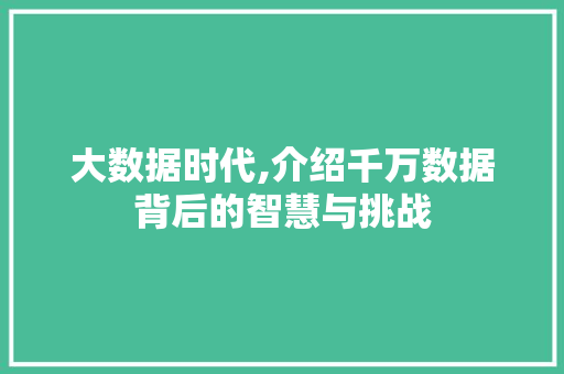 大数据时代,介绍千万数据背后的智慧与挑战 前端技术
