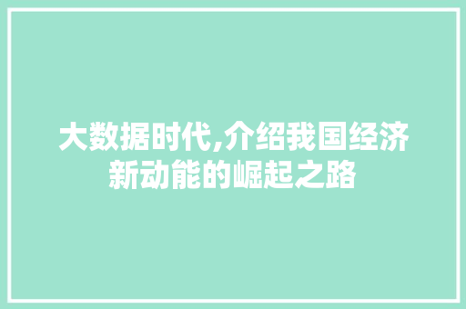 大数据时代,介绍我国经济新动能的崛起之路 市场营销范文