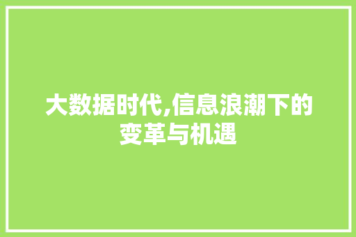大数据时代,信息浪潮下的变革与机遇 商务信函