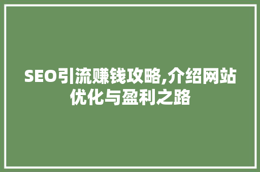 SEO引流赚钱攻略,介绍网站优化与盈利之路