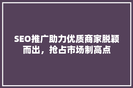 SEO推广助力优质商家脱颖而出，抢占市场制高点