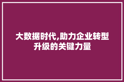 大数据时代,助力企业转型升级的关键力量 MySQL