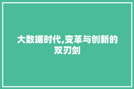 大数据时代,变革与创新的双刃剑