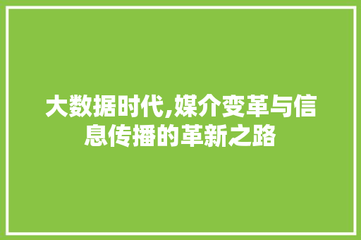 大数据时代,媒介变革与信息传播的革新之路 项目报告